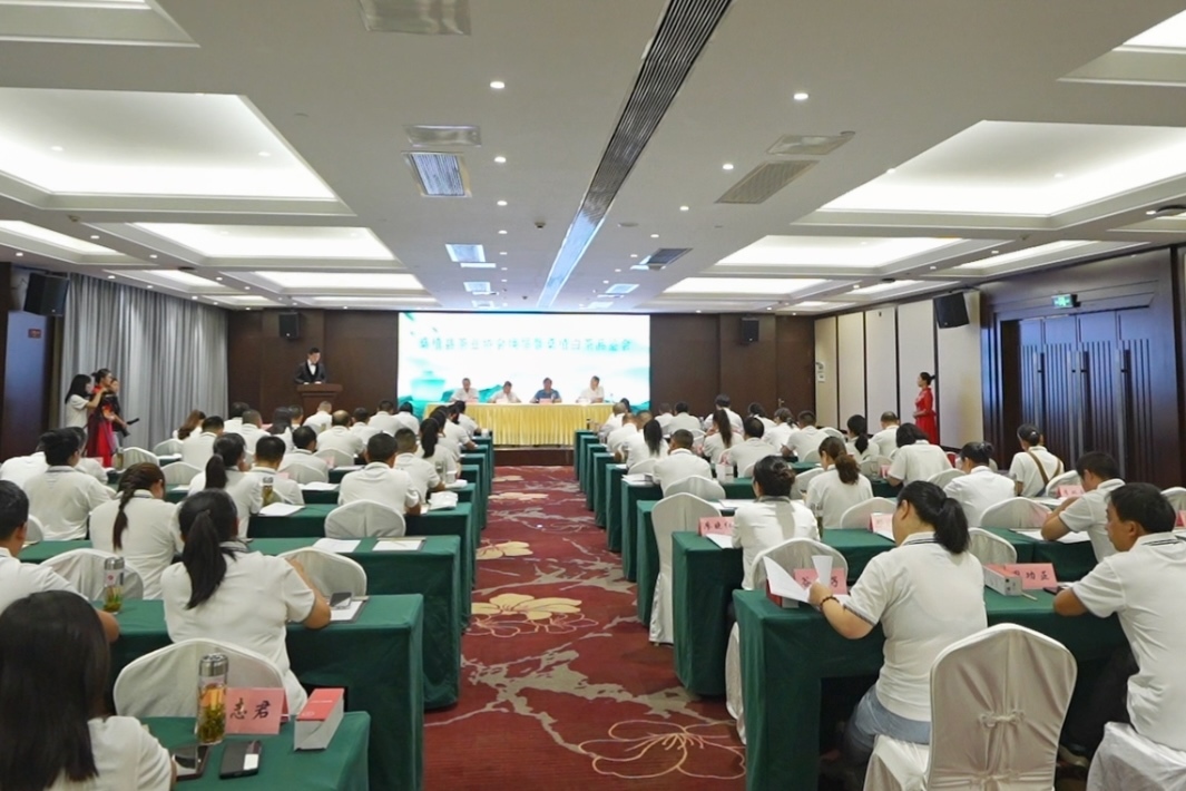 桑植县茶业协会：新篇开启 共绘茶产业辉煌蓝图