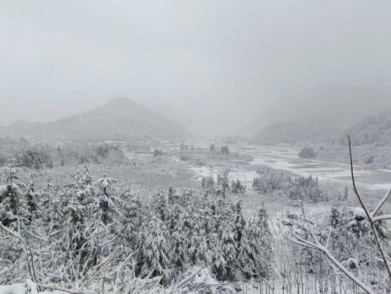 八大公山镇积极应对低温雨雪天气