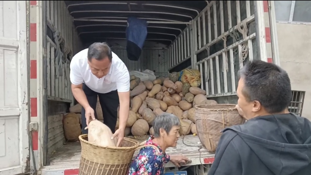 慈利桑植这两个村约好了 明年……