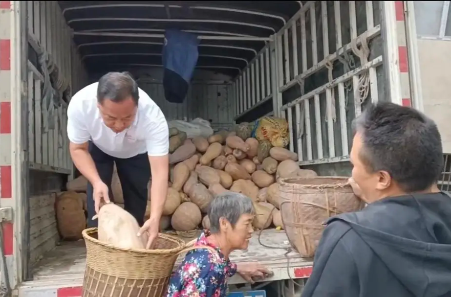 慈利桑植这两个村约好了 明年……