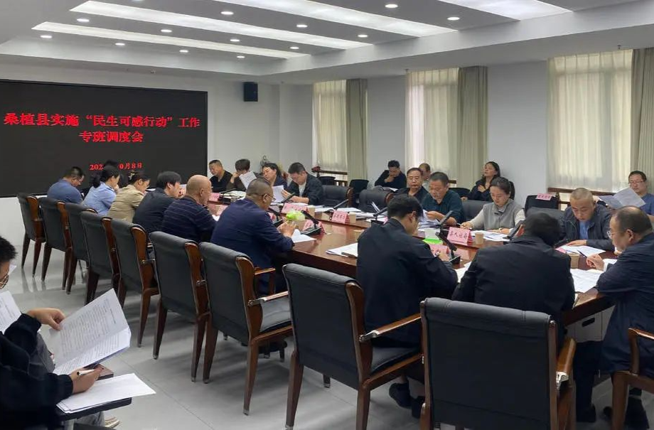 全力推进“八大行动” | 桑植县“民生可感行动”工作专班调度会召开