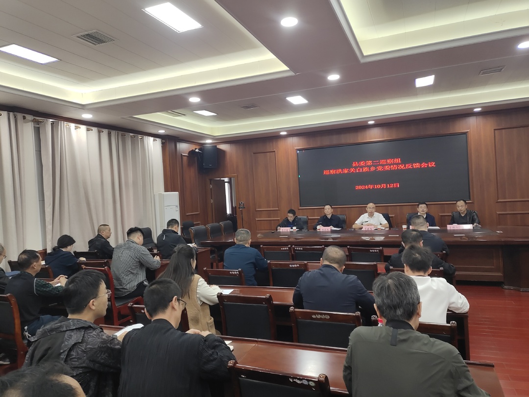 县委第二巡察组向洪家关白族乡党委反馈巡察情况
