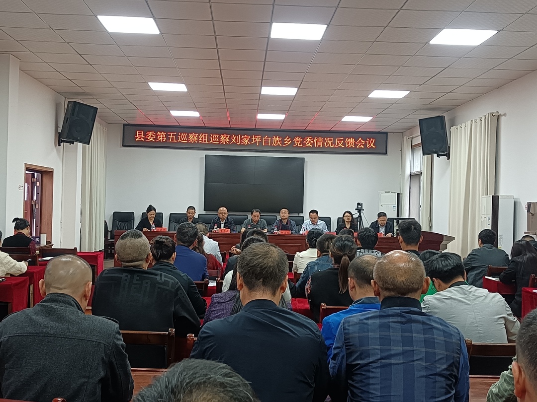 县委第五巡察组巡察刘家坪白族乡党委反馈会议召开