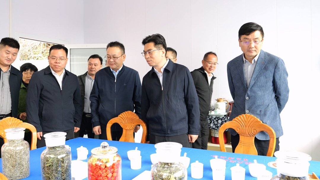 长沙县委组织部来桑调研对口帮扶工作
