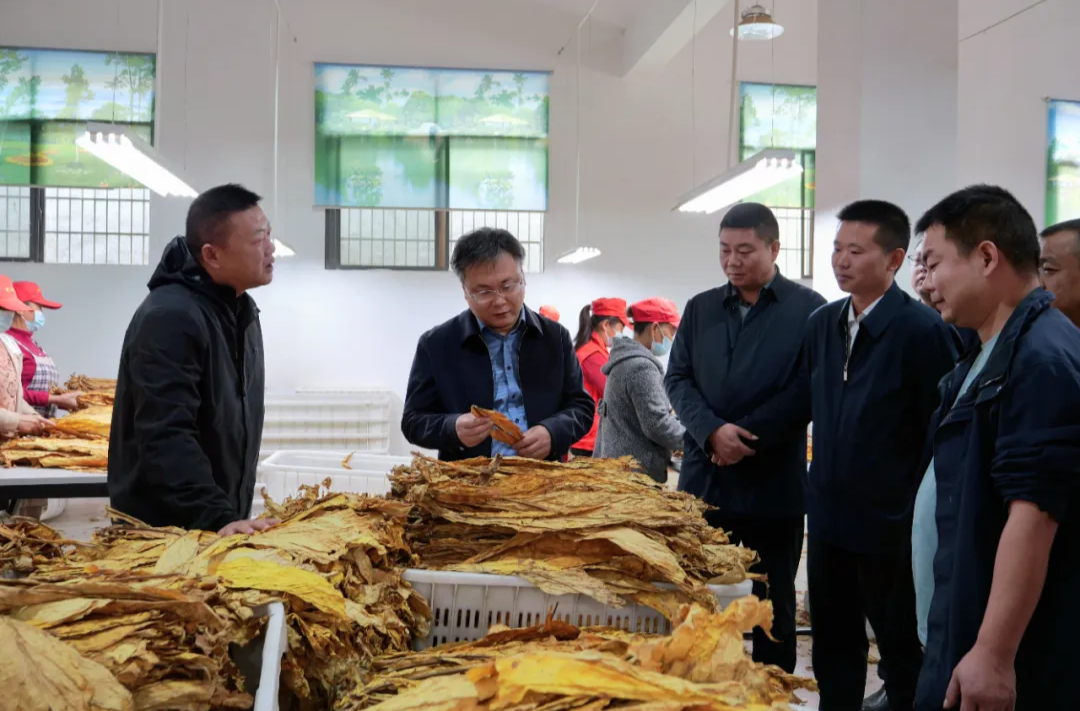 曹飞调研督导“校园餐”暨群众身边不正之风和腐败问题集中整治工作