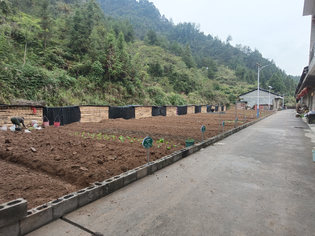 上河溪村: 聚八方“安居”合力  解群众“田园”盼急