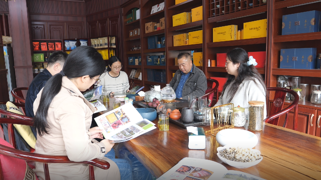 全力推进八大行动｜桑植县科技专家服务团：科技赋能企业 助力乡村振兴