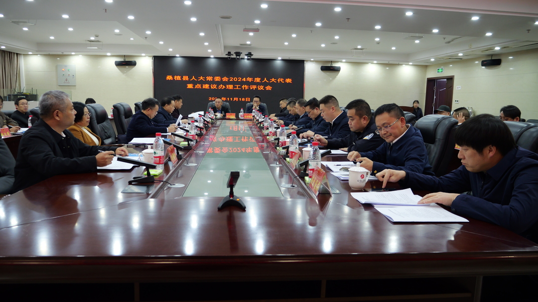 桑植县人大常委会2024年度人大代表重点建议办理工作评议会议召开