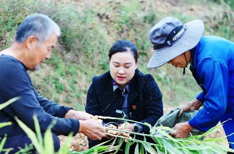 人大代表风采 | 王亚婕：积极投身于基层工作 为乡村振兴贡献力量