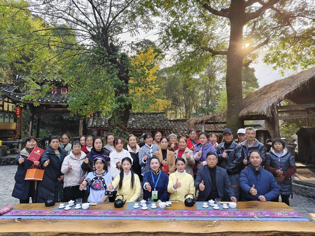 竹叶坪乡金龙村举办桑植白茶茶艺培训交流活动