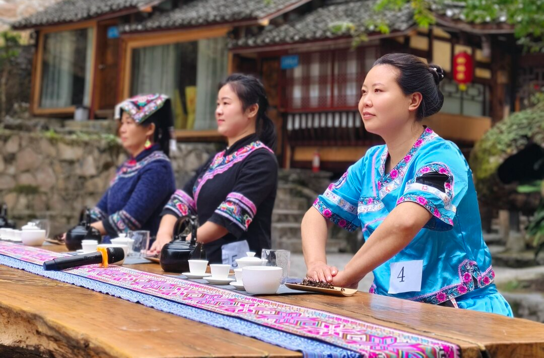 竹叶坪乡金龙村举办桑植白茶茶艺培训交流活动