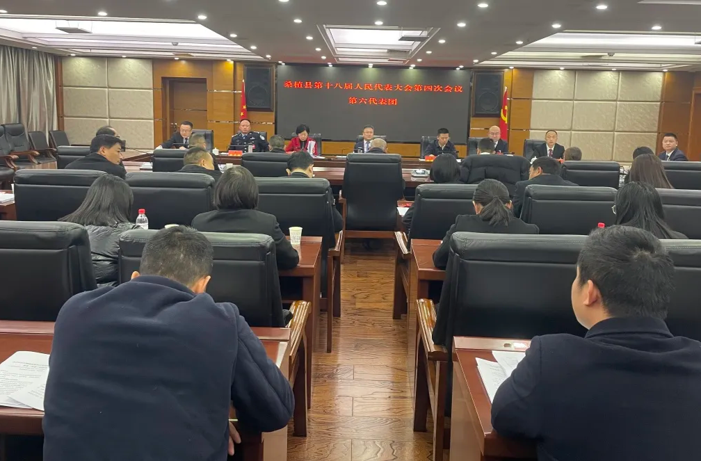 聚焦兩會丨人大代表分團(tuán)討論政府工作報(bào)告和人大常委會工作報(bào)告