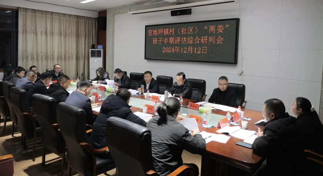 曹飞调研指导官地坪镇村（社区）“两委”班子中期评估工作