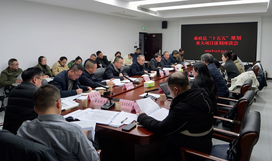 桑植县召开“十五五”规划重大项目谋划座谈会