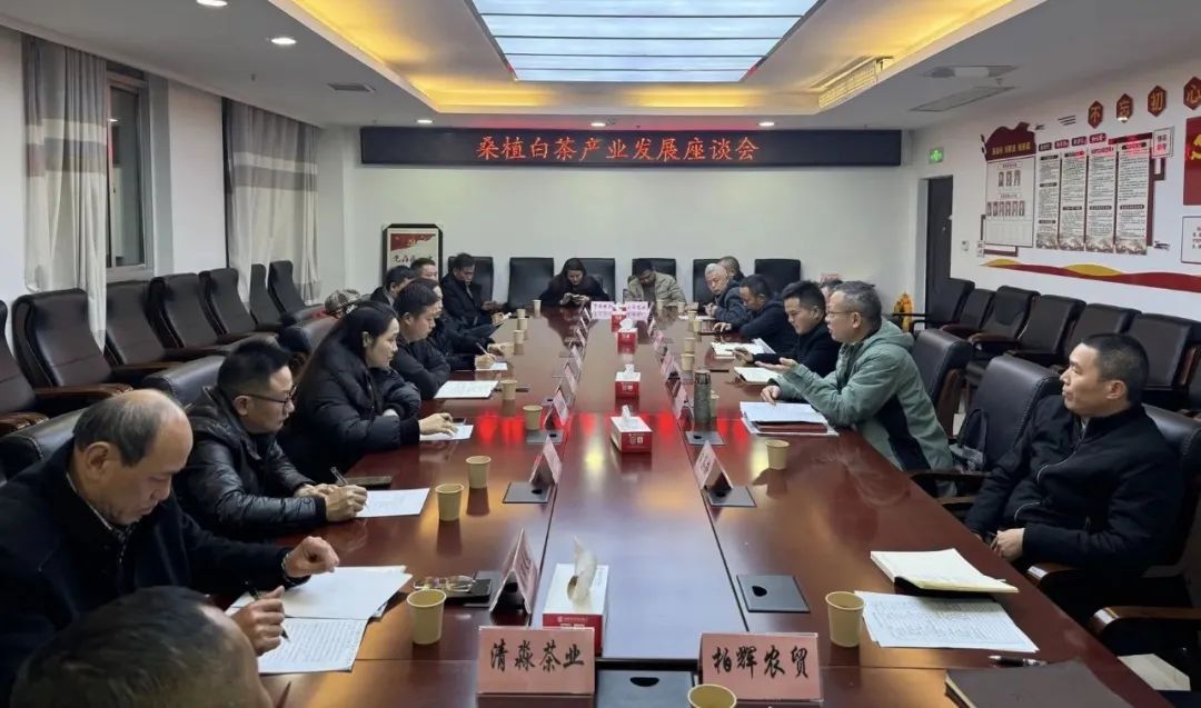 桑植县召开桑植白茶产业发展座谈会