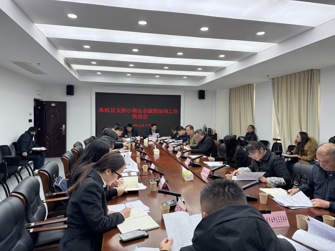 桑植县召开支持小微企业融资协调工作推进会