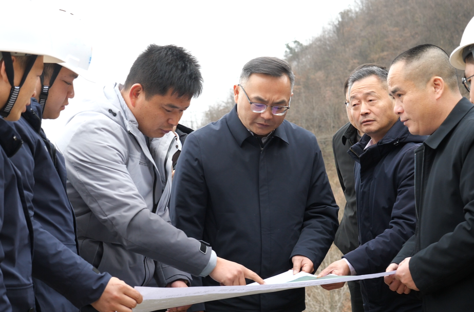陈星调研龙鹤风电项目建设