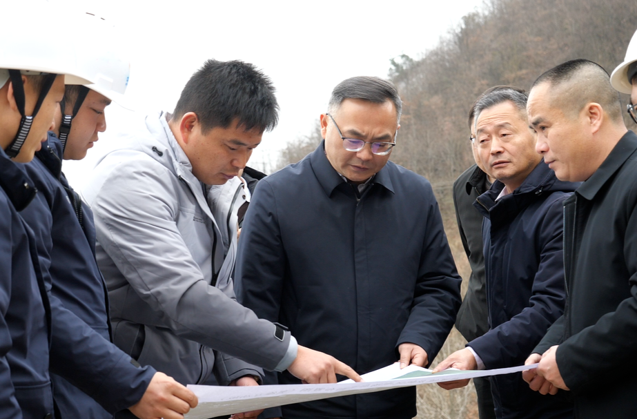 陈星调研龙鹤风电项目建设