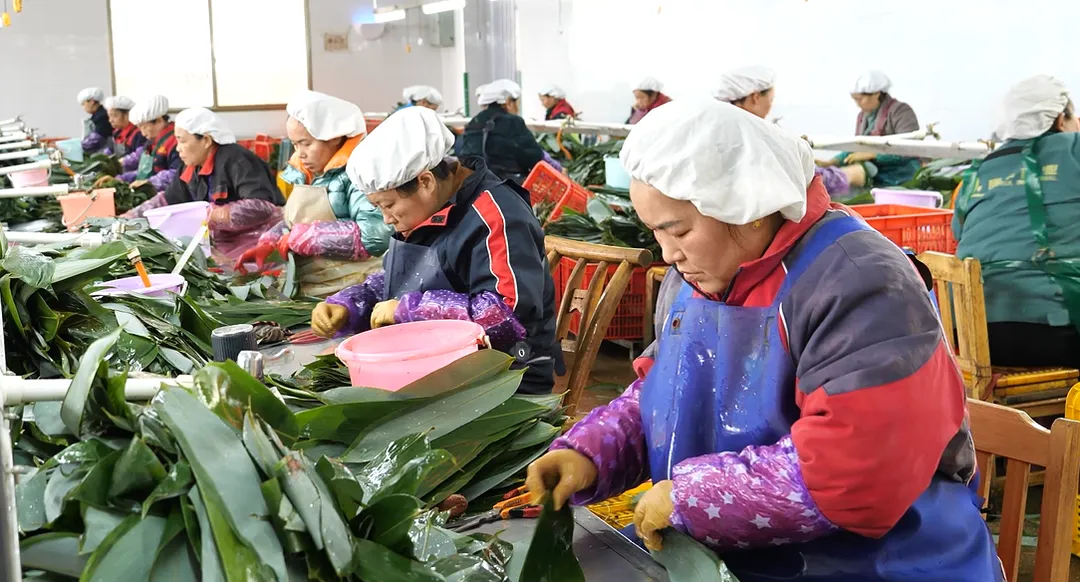 桑植：为民营企业发展赋能 助力县域经济繁荣