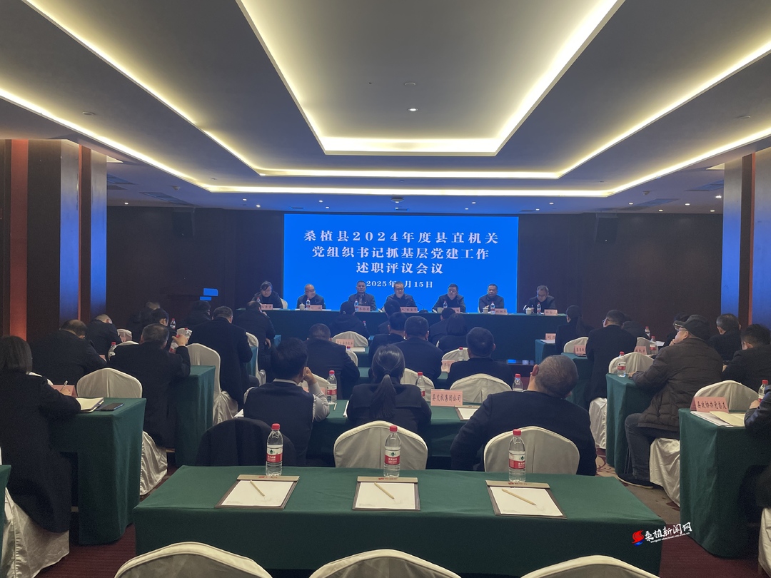 桑植县召开2024年度县直机关党组织书记抓基层党建工作述职评议会