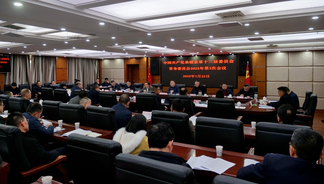 曹飞主持召开县委常委会2025年第3次会议
