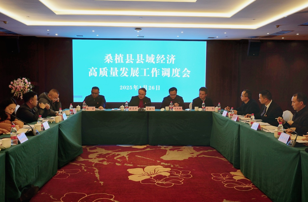 桑植县召开县域经济高质量发展工作调度会