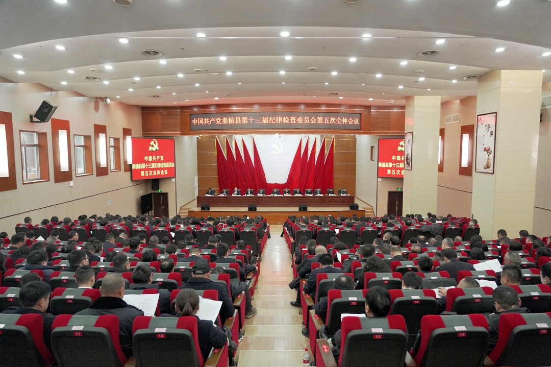 曹飞：坚持以改革精神和严的标准管党治党 为加快建设现代化新桑植提供坚强纪律保障