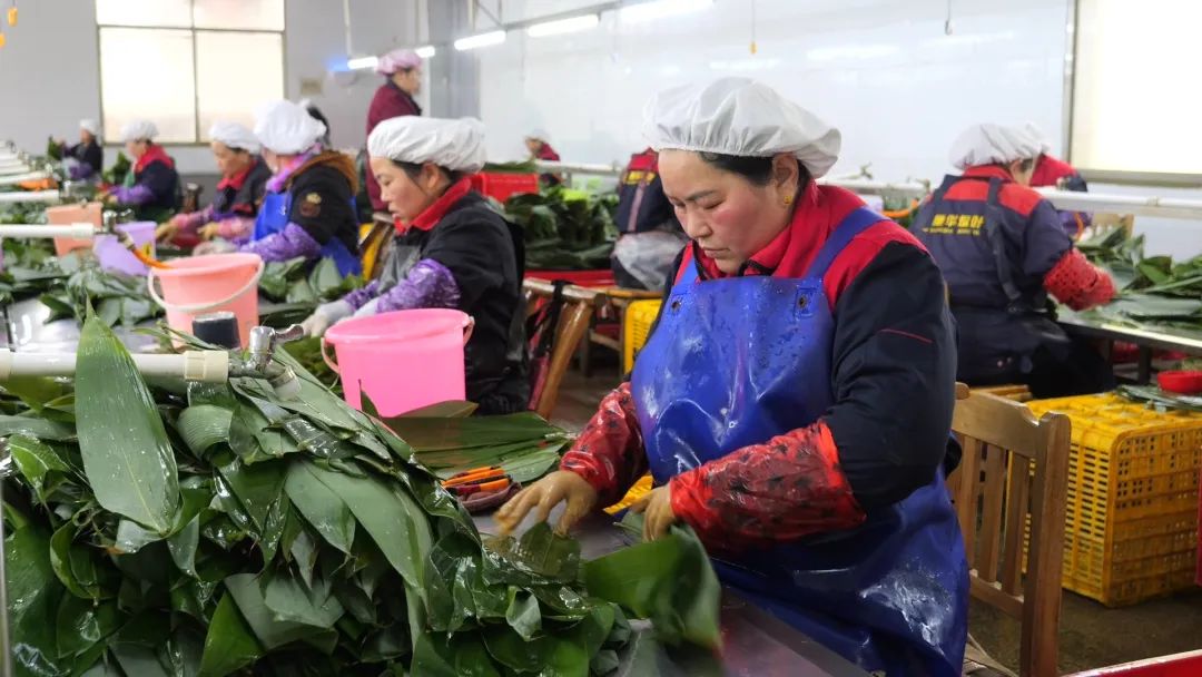 张家界康华实业复工忙 粽叶飘香启新章