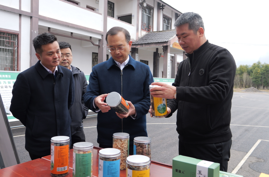 闫瑞增来桑调研蔬菜产业发展情况