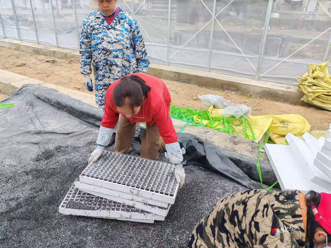 八大公山镇：春耕正当时 烟叶启新程