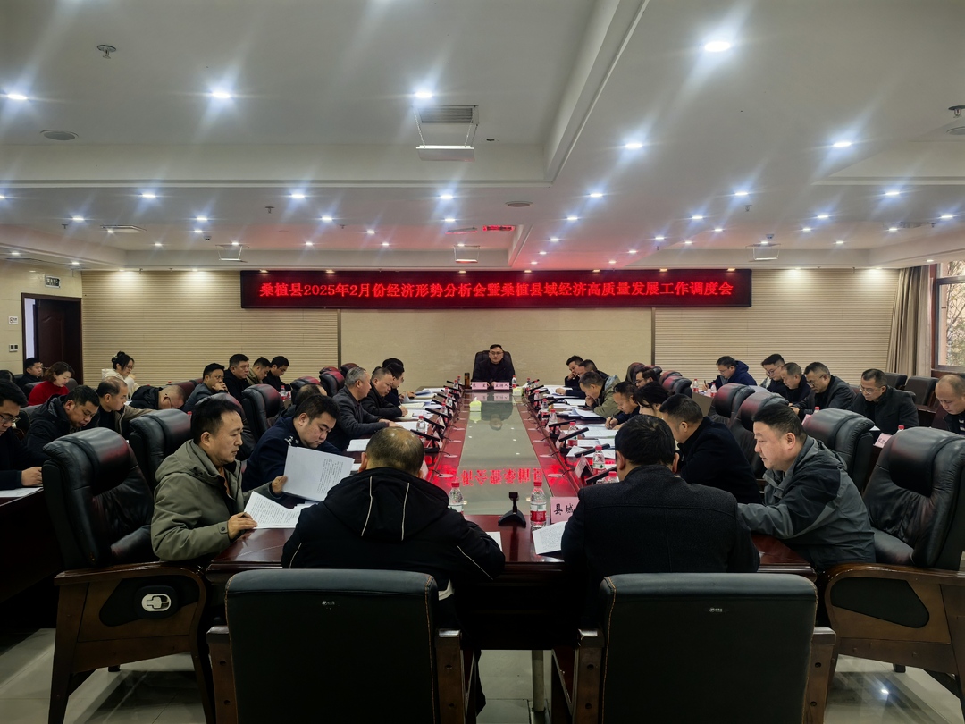 桑植县召开2025年经济形势分析会暨县域经济高质量发展工作调度会