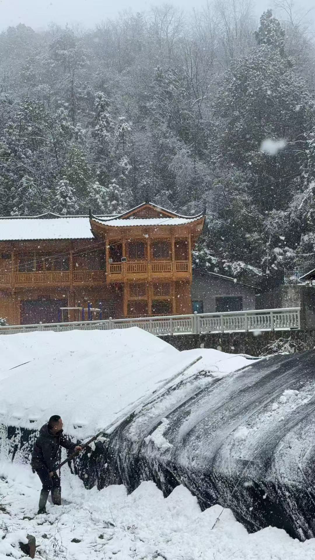 春雪突袭三合界  干群齐心护棚保产业