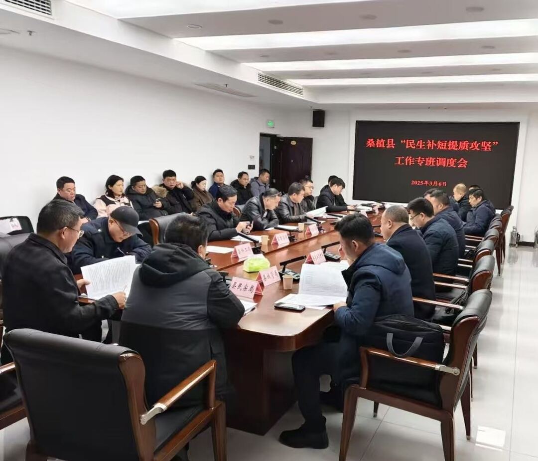 全力推进民生事业发展——桑植县召开“民生补短提质攻坚”工作调度会