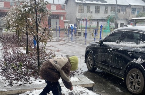 寒潮中的暖流：八大公山小学师生齐心扫雪护平安
