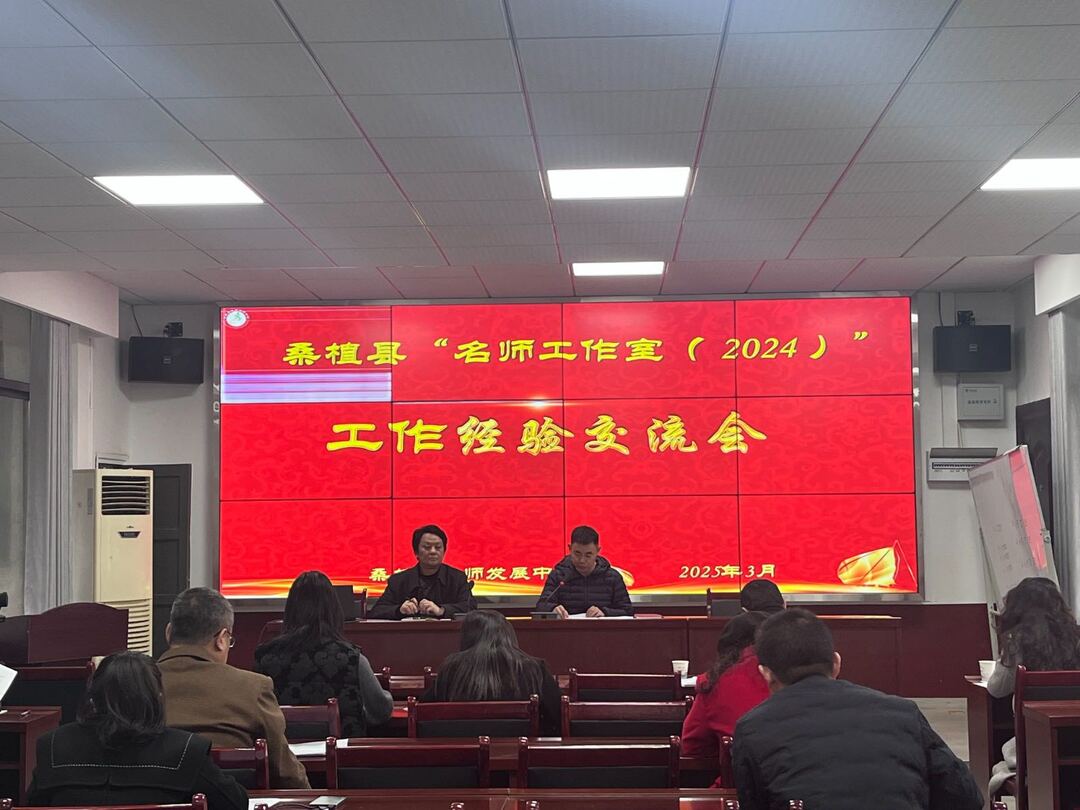 桑植县名师工作室开展经验交流 