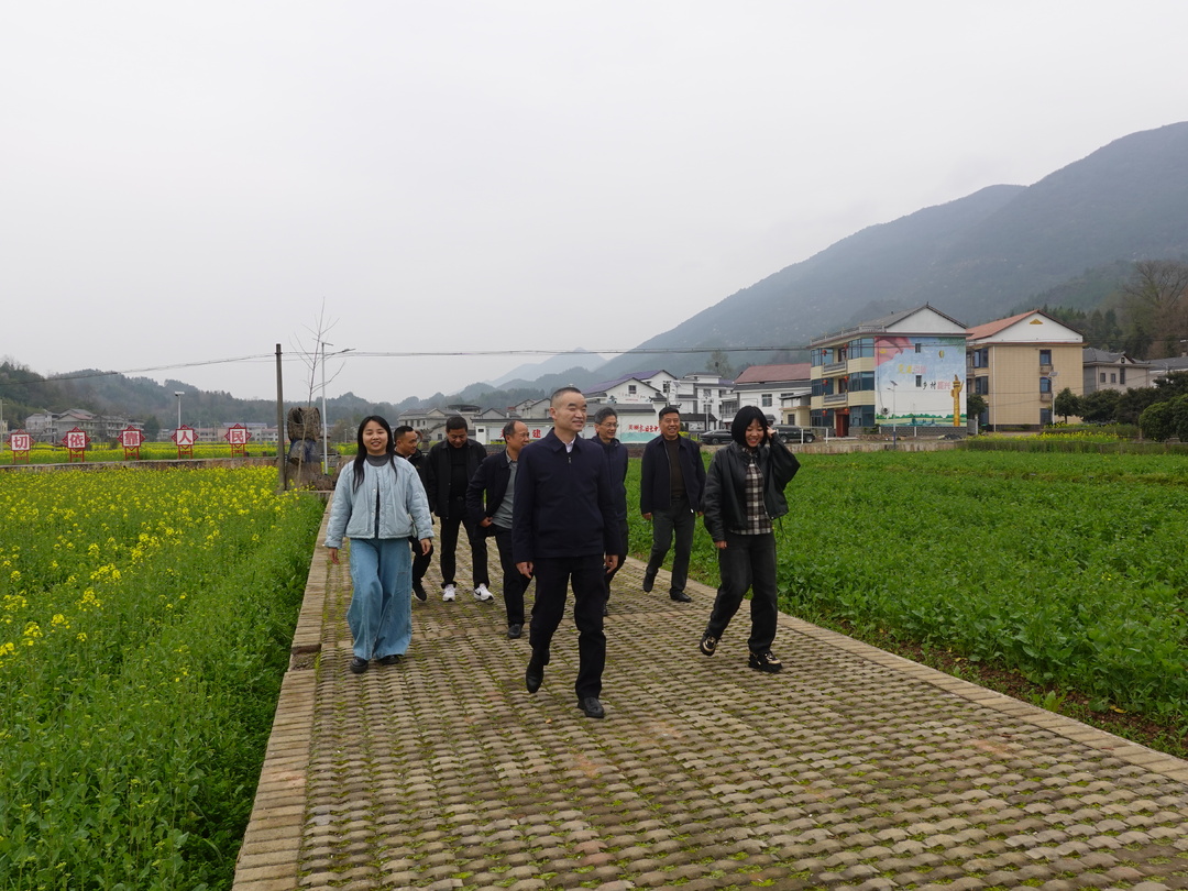 市人大常委会来桑植县调研“三会三文”精神贯彻落实情况