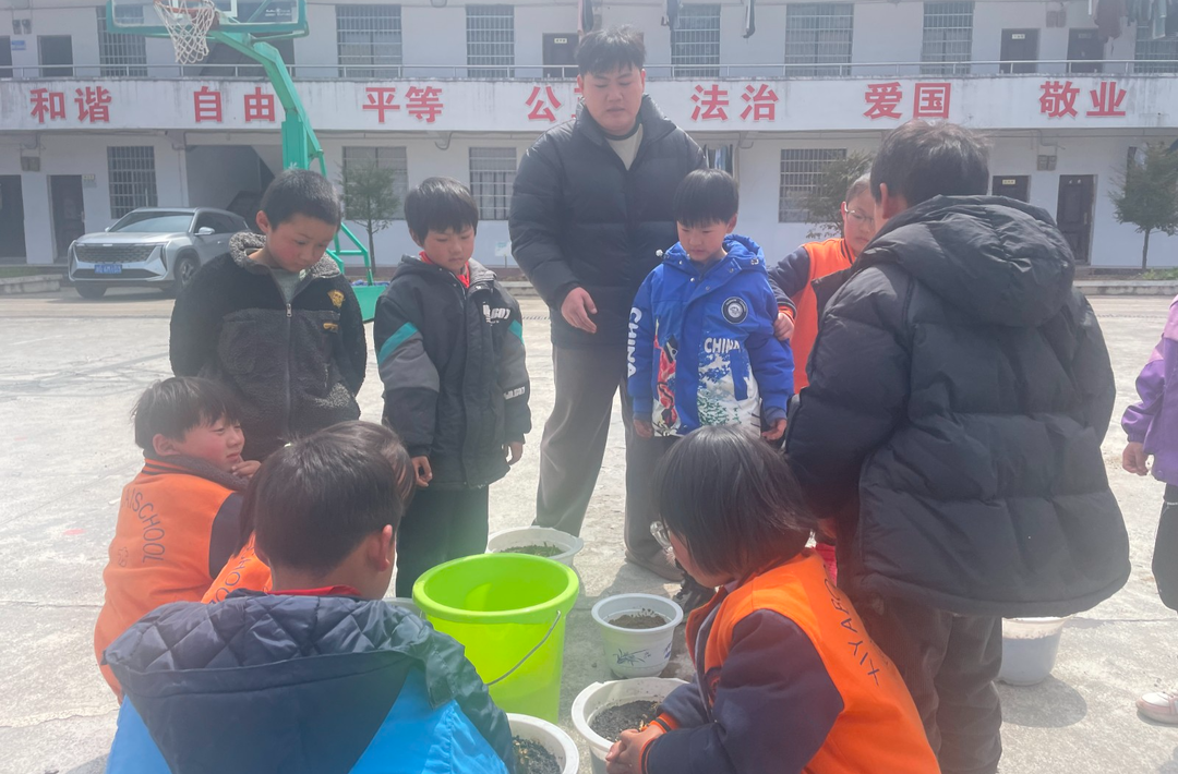 八大公山小学开展”播撒春光·守护成长“花卉种植活动