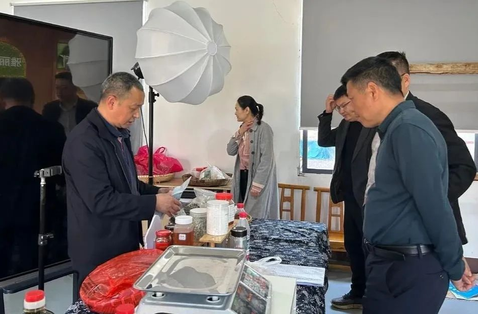市人大常委会来桑开展乡村振兴促进“一法一条例”执法检查