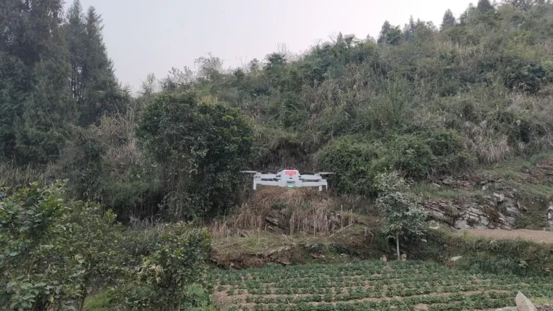 上洞街乡：“人防+技防” 筑牢森林防火安全网