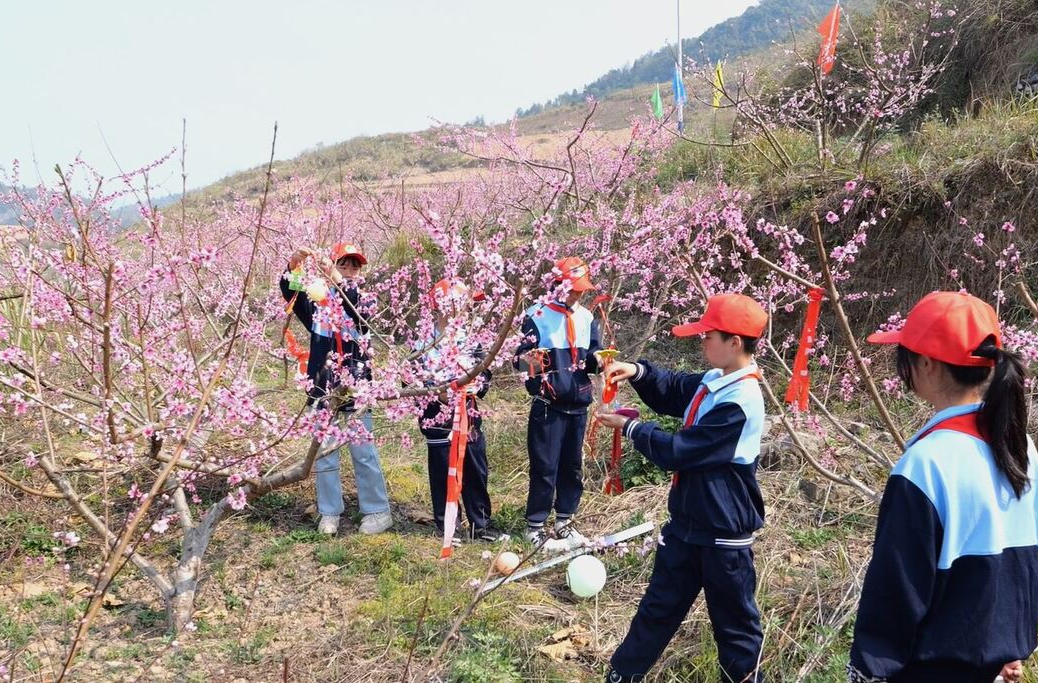 上洞街学校劳动教育基地启耕 构建特色育人新模式