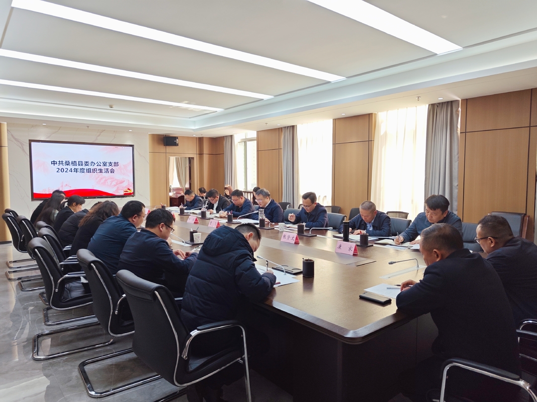 曹飞参加县委办党支部2024年度组织生活会