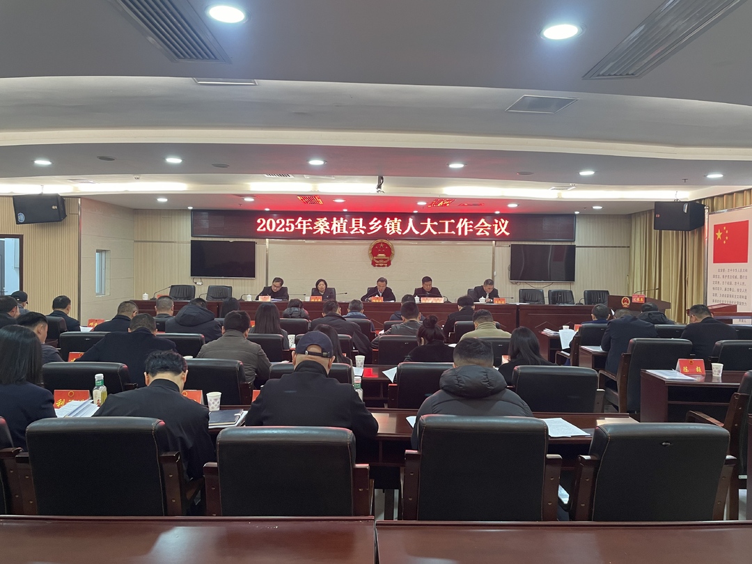 桑植县安排部署2025年乡镇人大工作