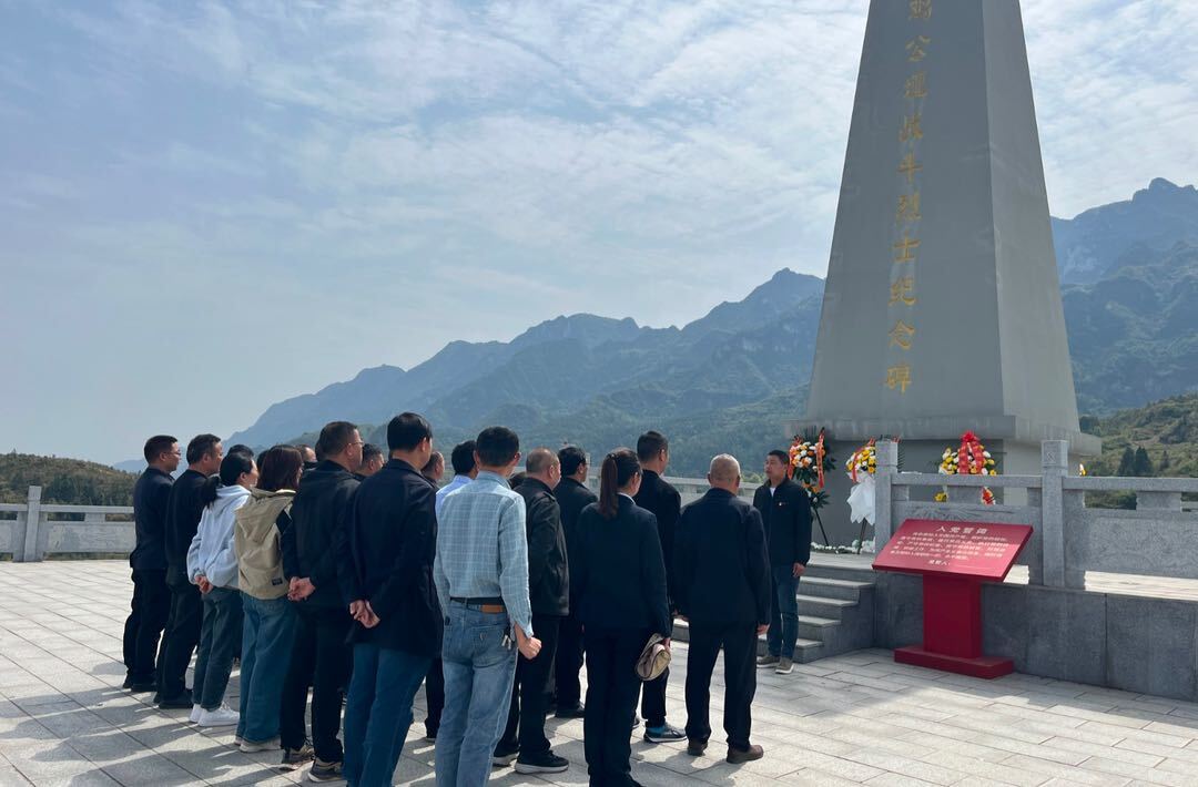 刘家坪白族乡开展清明祭扫主题党日活动
