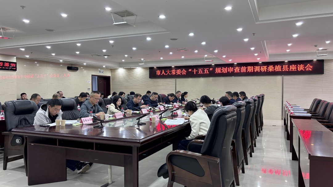 市人大常委会来桑调研“十五五”规划审查前期工作