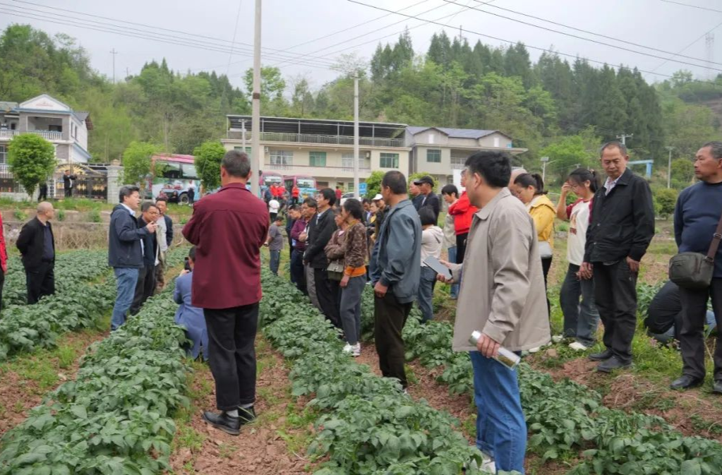 桑植县开展2025年高素质农民培育跟踪指导实训活动