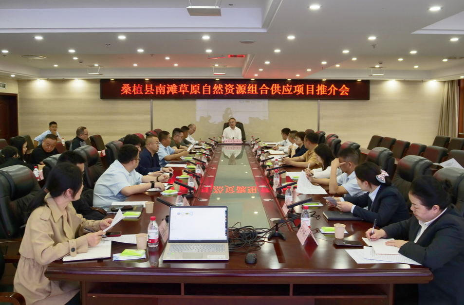 桑植县南滩草原自然资源组合供应项目推介会召开