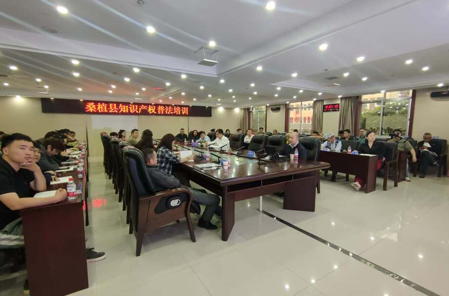 桑植县：知识产权赋能发展 AI法律助力新知