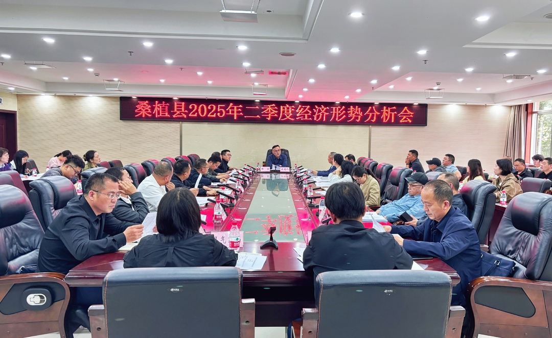 桑植县2025年二季度经济形势分析会召开