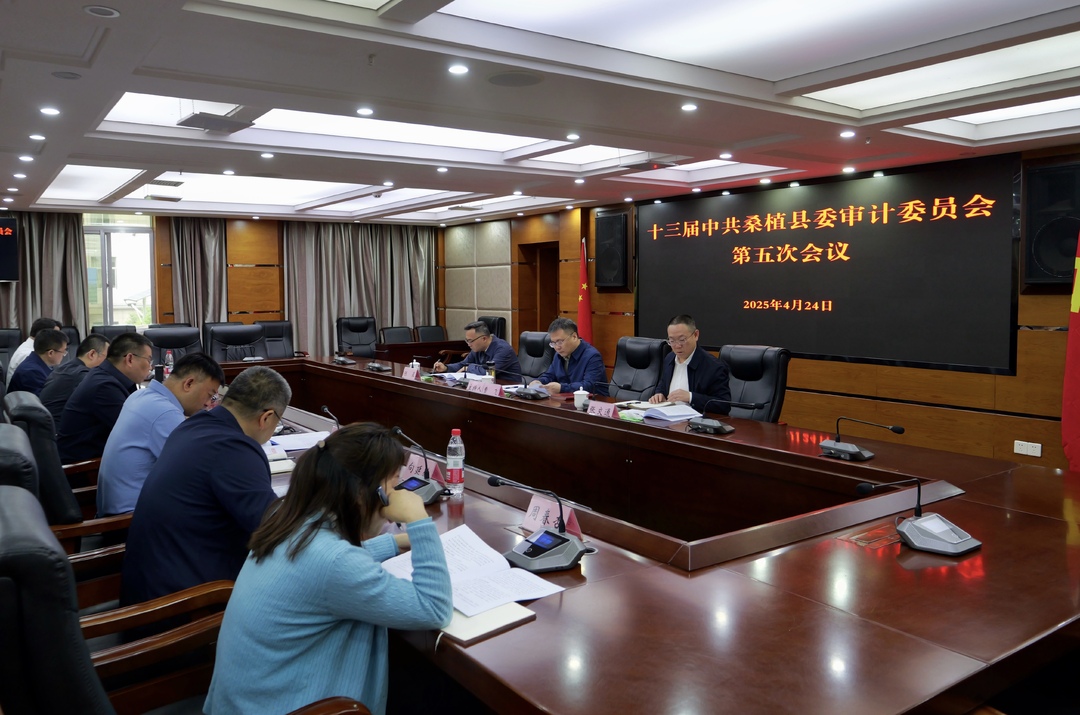 十三届中共桑植县委审计委员会第五次会议召开