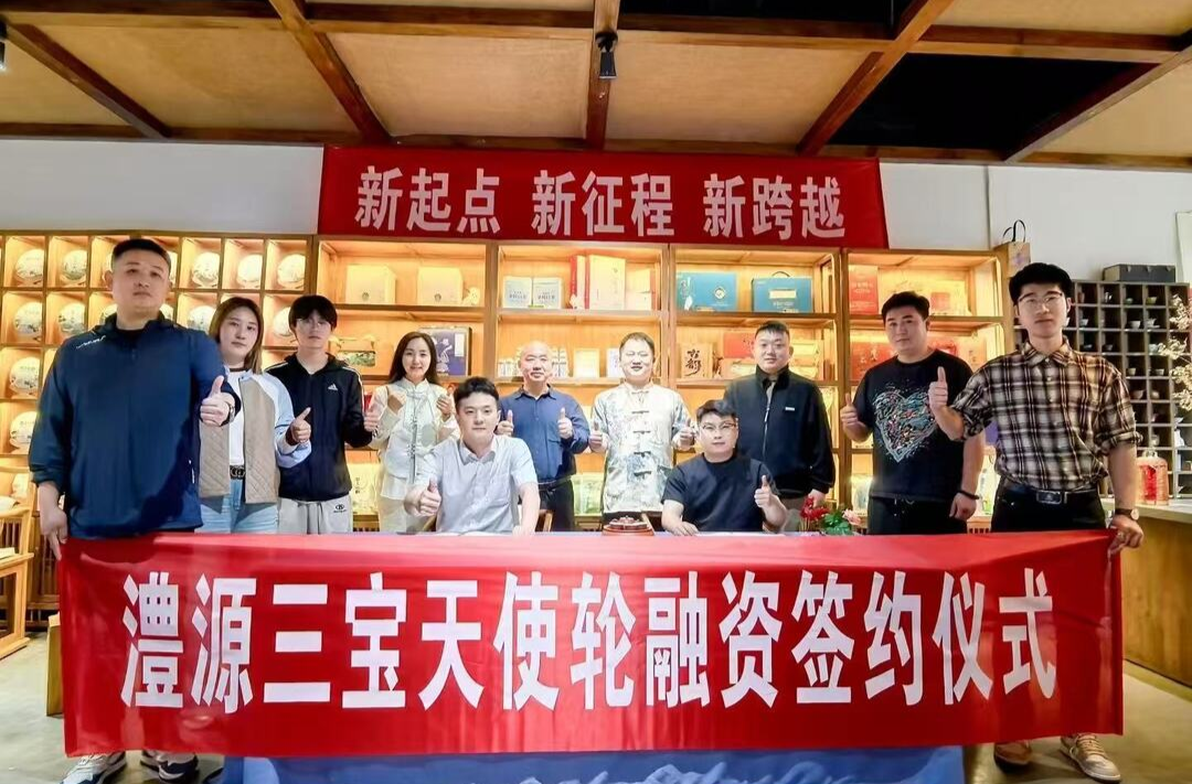 湖南大学生创业基金助力桑植白茶项目获投50万